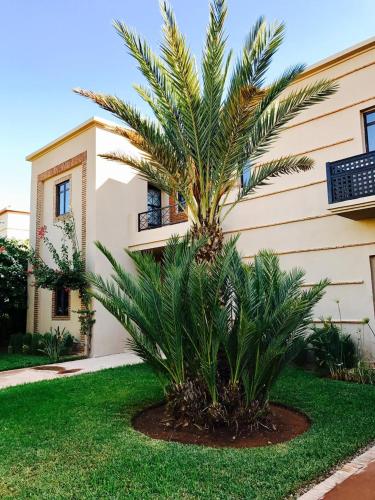 a palm tree in front of a building at Villa rouge avec piscine et golf in Marrakech
