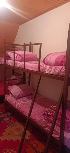 Ce dortoir comprend 2 lits superposés et des draps roses. dans l'établissement Visočica, 