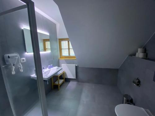 ein Bad mit einem Waschbecken, einer Dusche und einem WC in der Unterkunft Penzion a restaurace Grunt in Řeka