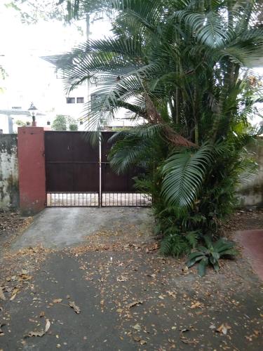 una palmera frente a una valla en C. L Inn, en Kochi