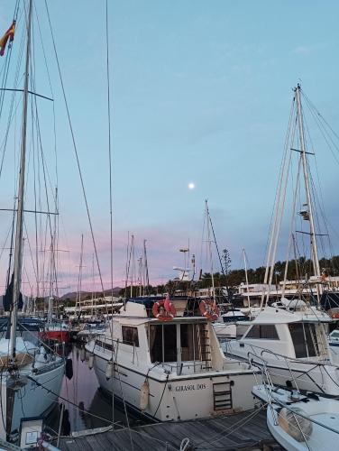 a group of boats docked in a harbor at CONCH in Puerto Calero