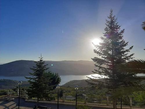 two pine trees in front of a view of a lake at alloggio belvedere & relax in Macchia Valfortore