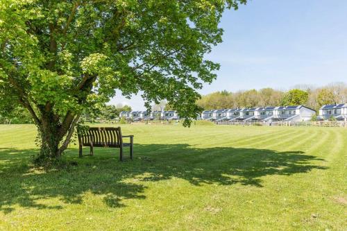 a park bench under a tree in a field at Spacious 4 bed home with gym and tennis court in Lincoln