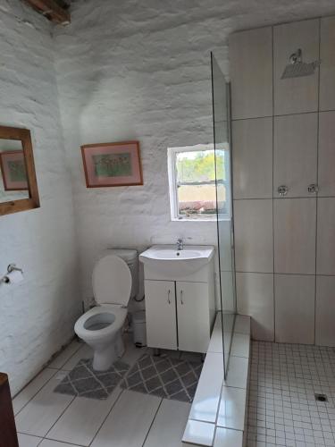 un baño con inodoro y lavabo en De Hoop Guest Farm, en Beaufort West