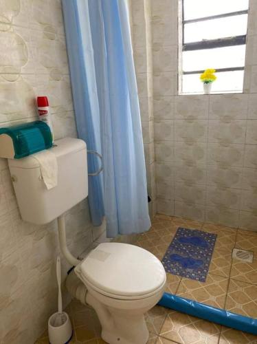 a bathroom with a toilet and a blue shower curtain at Elegant studio stays in Kitengela 