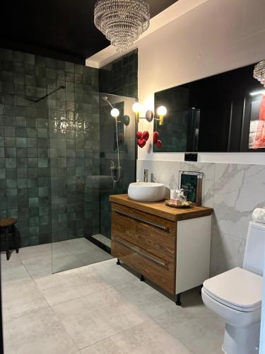 a bathroom with a sink and a shower and a toilet at Bocianie Gniazdo in Chwalimki
