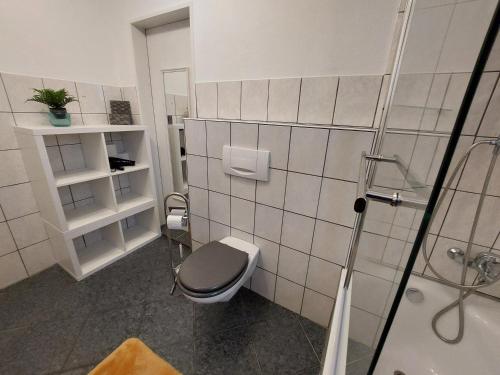 a bathroom with a toilet and a shower at Sonnenhang in Großalmerode