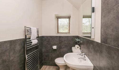a bathroom with a sink and a toilet and a mirror at Scandale Cottage in Ambleside