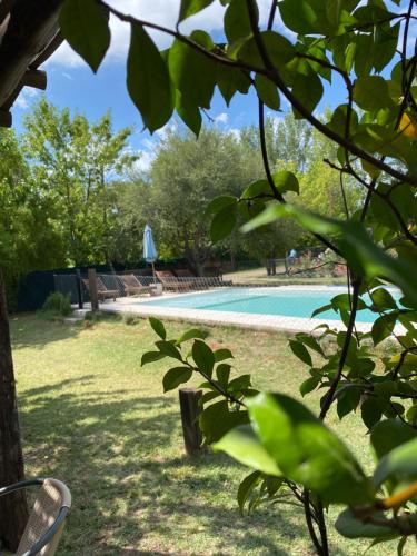 a view of a swimming pool through a tree at San Julián in San Rafael