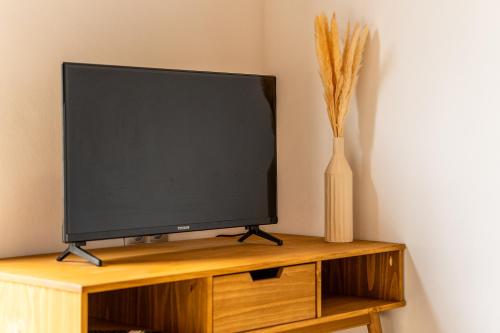a flat screen tv on a wooden stand with a vase at Bungalow L'escale de Takamaka in Saint-Benoît