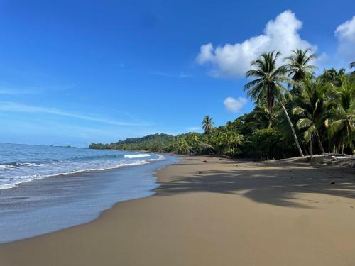 Cabaña en el Rincon Corcovado