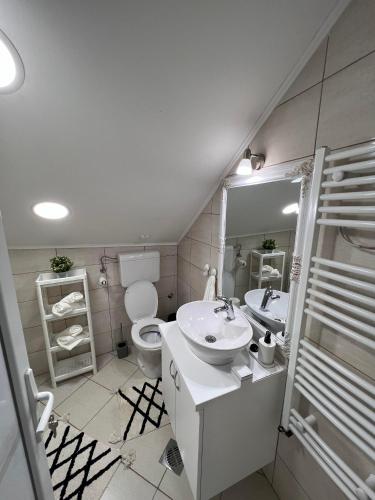 a bathroom with a sink and a toilet and a mirror at Guest House LILA in Sombor