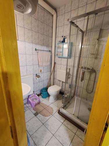 uma casa de banho com um chuveiro e um WC. em CEZARA Ski Lake View em Beliş