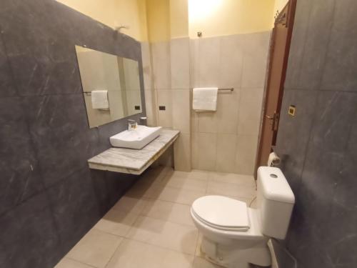 a bathroom with a toilet and a sink and a mirror at R.M RESIDENCY in Lahore