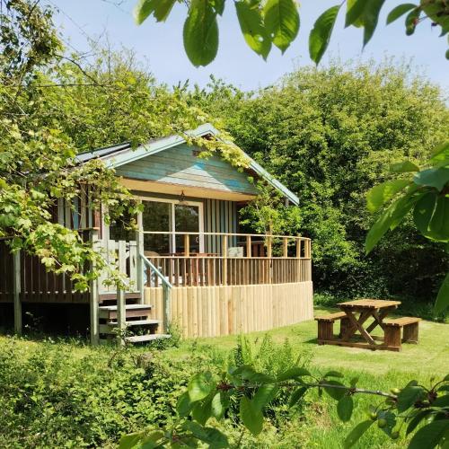 a small cabin with a picnic table in the grass at Devon Eco Lodges in Winkleigh
