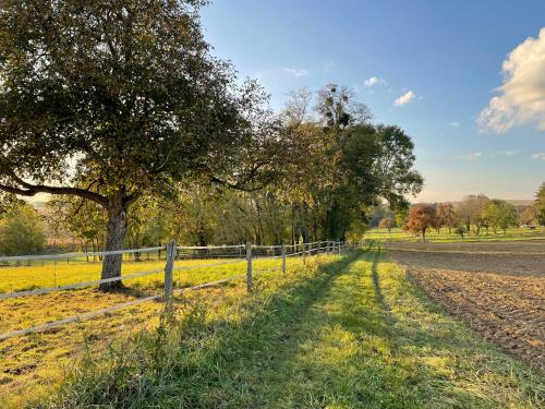 a fence and a tree next to a road at La grange de Sophie in Berstett