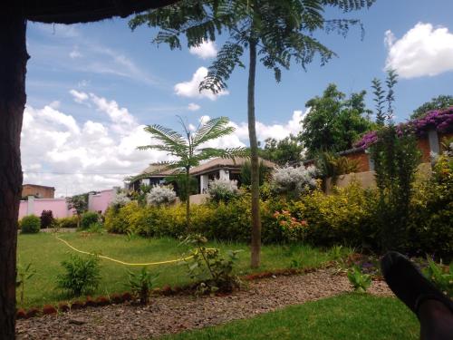 a yard with a house and a yellow hose at La tendresse in Antananarivo