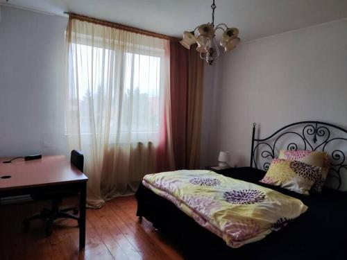 Schlafzimmer mit einem Bett, einem Schreibtisch und einem Fenster in der Unterkunft Vila spatioasa 7 camere la lacul BUftea in Buftea