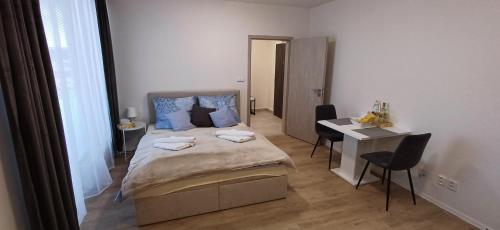 um quarto com uma cama e uma secretária. em Lesia Apartments 3 em Brno
