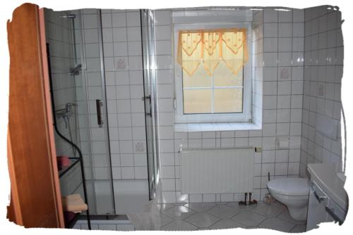ein Bad mit einer Dusche, einem WC und einem Fenster in der Unterkunft Ferienwohnung Waldmühle in Saupsdorf