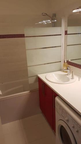 une salle de bain avec un lavabo et une machine à laver dans l'établissement Appartement spacieux aux portes de Paris, à Bagnolet