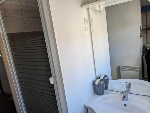 uma casa de banho com um lavatório e um chuveiro com um espelho. em Appartement 4 voyageurs - Proche plage em Bray-Dunes