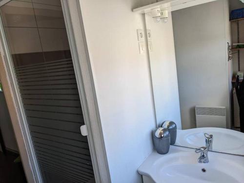 a bathroom with a sink and a shower with a mirror at Appartement 4 voyageurs - Proche plage in Bray-Dunes