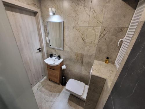 W łazience znajduje się umywalka, toaleta i prysznic. w obiekcie Sosnowe Wzgórze - Wypoczynek w Zagórzu Śląskim 2 w Zagórzu Śląskim
