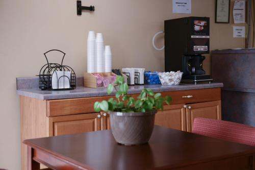 a kitchen with a table with a potted plant on it at Relax Inn in Collinsville