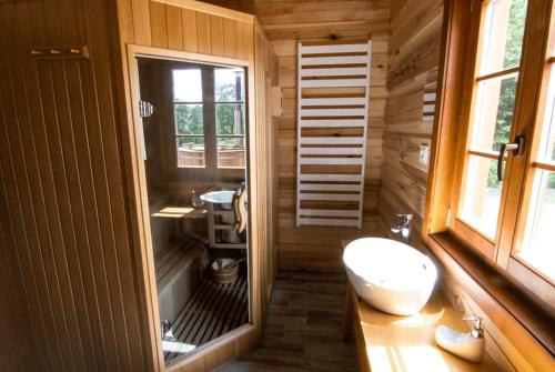 Roubenka pod lesem في ديشتني في أورليتسكيخ هوراخ: حمام مع مرحاض ومغسلة ونافذة