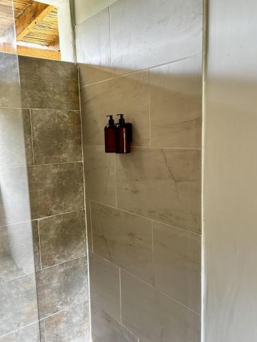 a shower stall with two bottles on the wall at Finca el Manantial Isnos, habitación Alas de Chocolate in Isnos