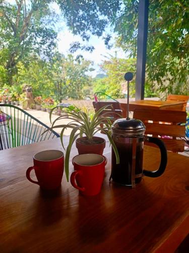 a table with two cups and two plants on it at Coffee House Minca in Minca