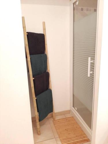 a bathroom with a towel rack and a glass door at Proche aéroport à pied, O Nature in Tillé