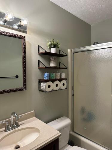 La salle de bains est pourvue d'une douche, d'un lavabo et d'un miroir. dans l'établissement Newly Renovated Home in Canton, à Canton