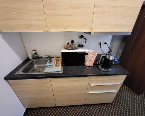 a kitchen counter with a sink and a microwave at Excellent apartments in Spa City Center 5 min walk from the Colonnade in Karlovy Vary