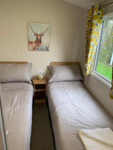 two beds in a small room with a window at 4 Devon Country, Bideford Bay Holiday Park in Bucks Mills