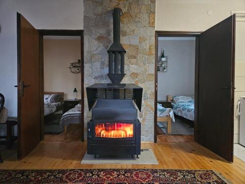 a fireplace in a living room with a stove at Kuća za odmor Virtus Goč in Vrnjačka Banja