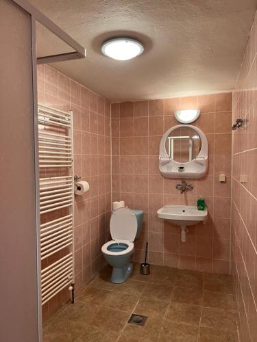 Bathroom sa Ždiarsky Dom