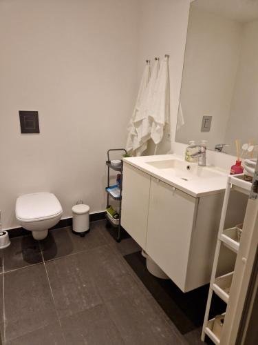 a bathroom with a white sink and a toilet at A charming apartment in the heart of Copenhagen in Copenhagen