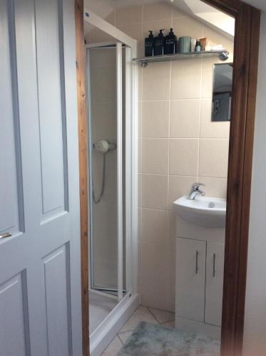 ein Bad mit einer Dusche und einem Waschbecken in der Unterkunft The Burrows (ladybird lodgings) in Stoke Gabriel