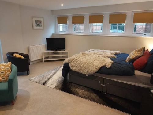 a bedroom with a large bed and a television at Turing Lodge, near Hampton Court in Hampton