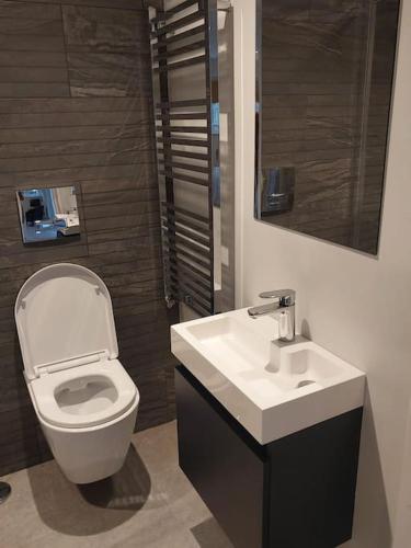 a bathroom with a toilet and a sink at Turing Lodge, near Hampton Court in Hampton