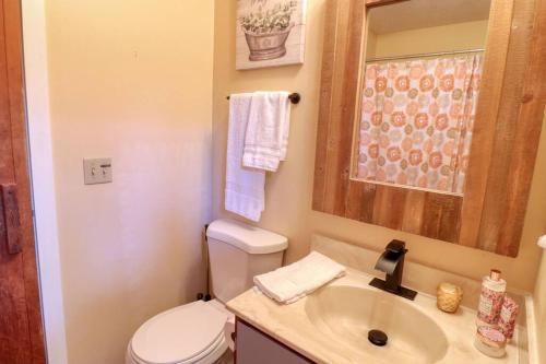 a bathroom with a white toilet and a sink at Bryce Chalet Retreat A Mountain Getaway in Basye
