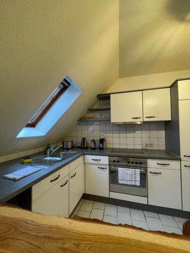 una cucina con lavandino e piano cottura di Jonnys ArtApartment a Osnabrück