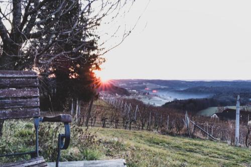 a bench on a hill with the sunset in the background at Bretterbude Steiermark in Übersbach