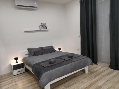 Fotografija u galeriji objekta Central Apartments u Zaječaru