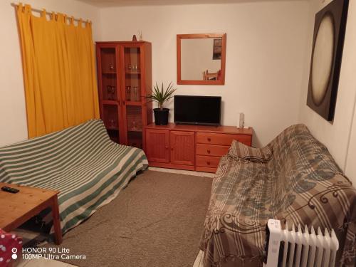 uma sala de estar com uma cama e uma televisão numa cómoda em Castellón Apartment Basic em Castellón de la Plana