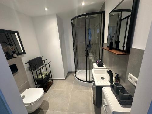 a bathroom with a shower and a toilet and a sink at Ferienwohnung am Berg in Wolfshagen