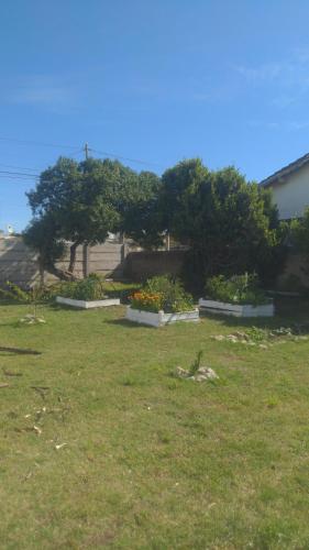 un jardín con flores y árboles en un patio en Casa Raices en Quequén