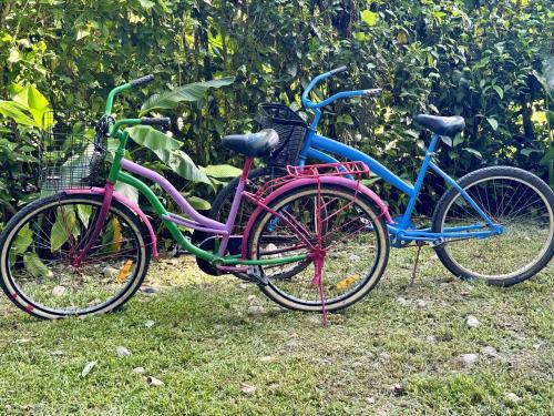 two bikes parked next to each other in the grass at Casa Mariposa in Puerto Viejo